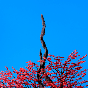 久久国产精品电影
