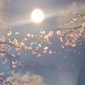 久久国产精品电影
